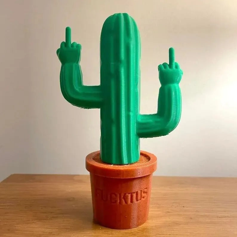 Middle Finger Cactus – A Hilarious Accent