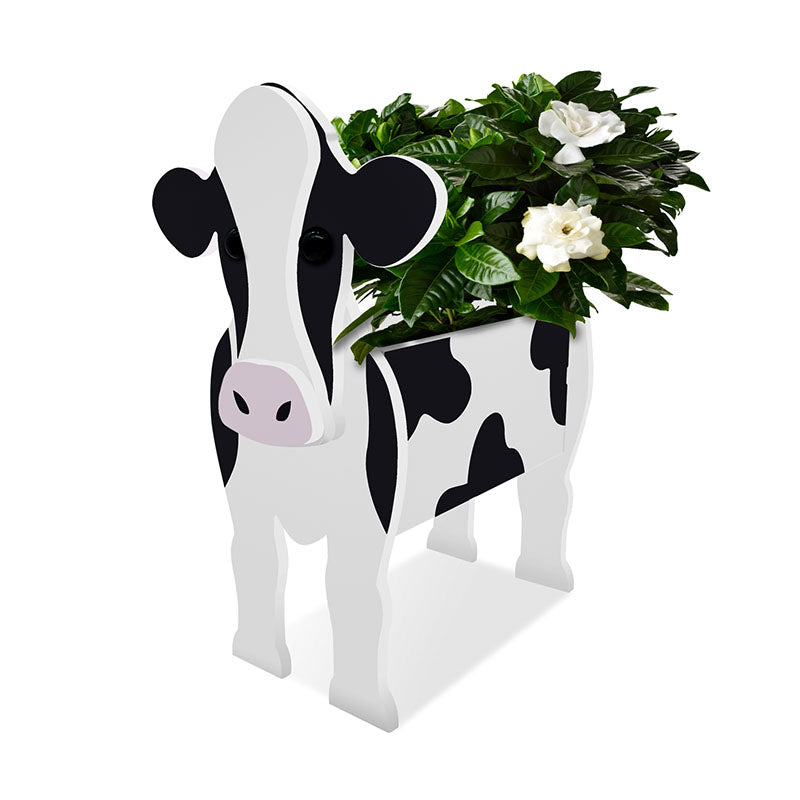 Dairy Cattle Planter AP062